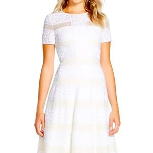 Bcbg lace and flare dress NWT size 0